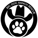 Profile avatar of "Big Dog Ranch Rescue" on "youtube"